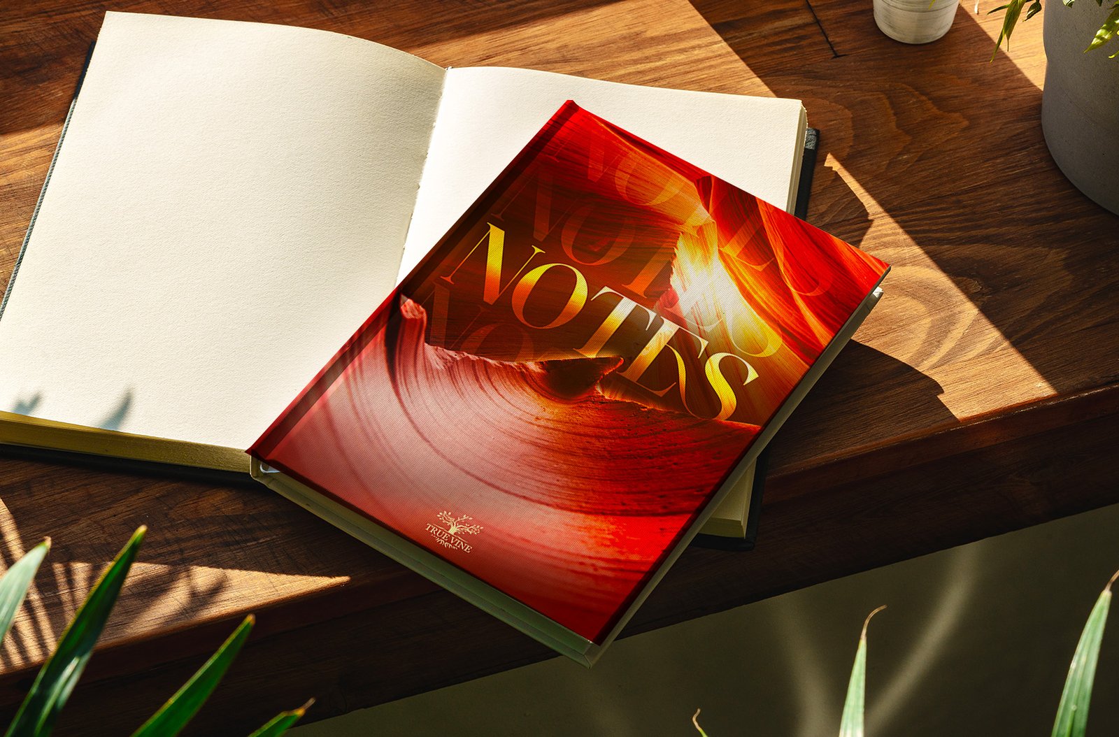 FLAMME INTÉRIEURE – Image 6