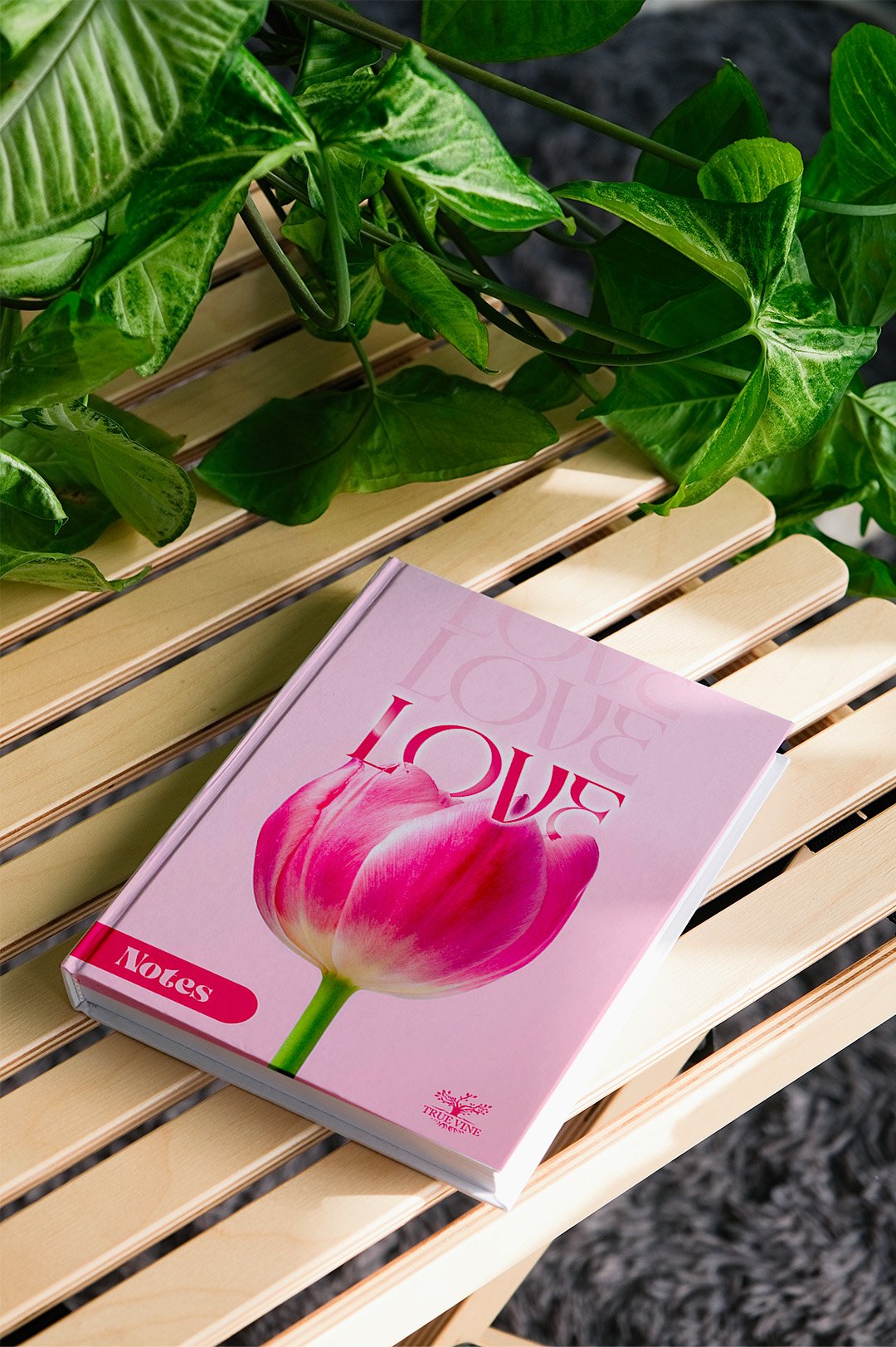 NOTES D’AMOUR – Image 2