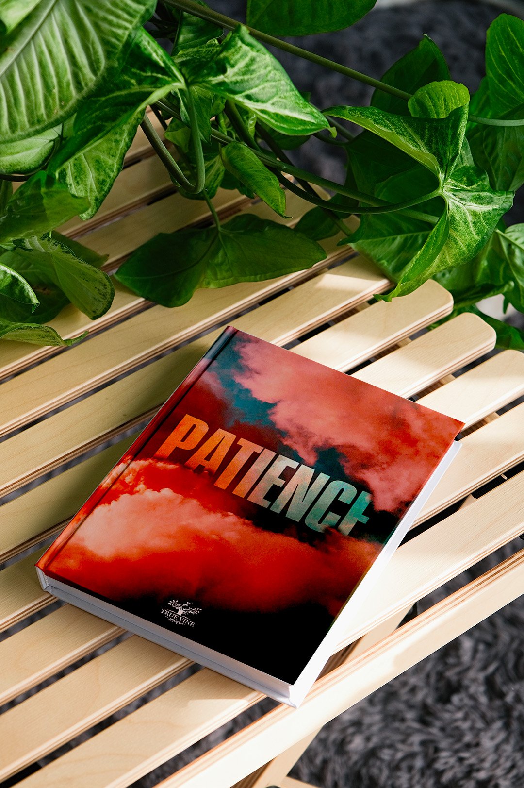 PERSÉVÉRANCE – Image 6