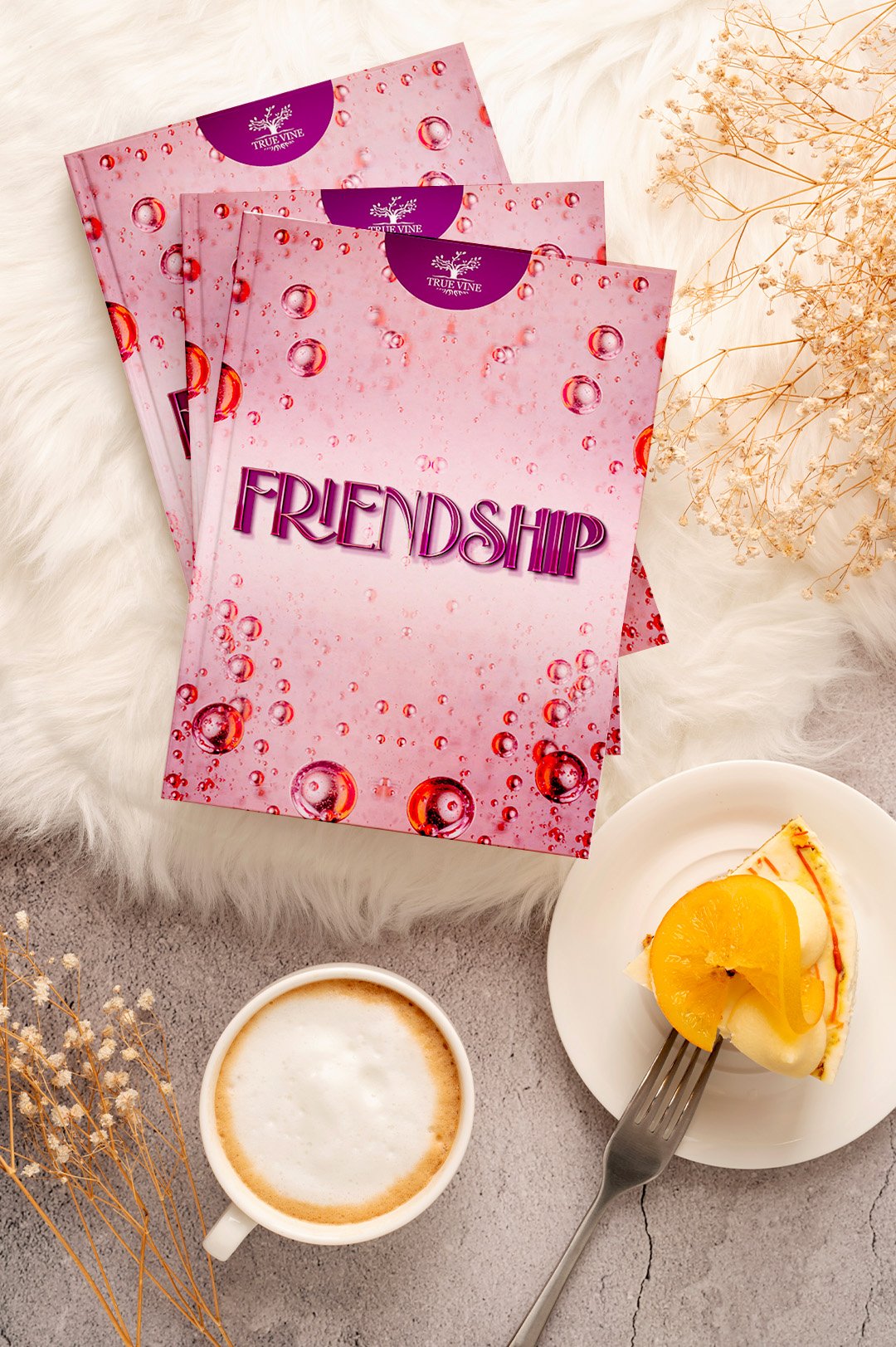 CONNEXION – Image 6