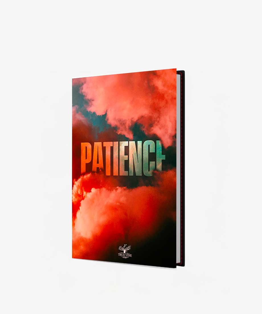 PERSÉVÉRANCE – Image 3