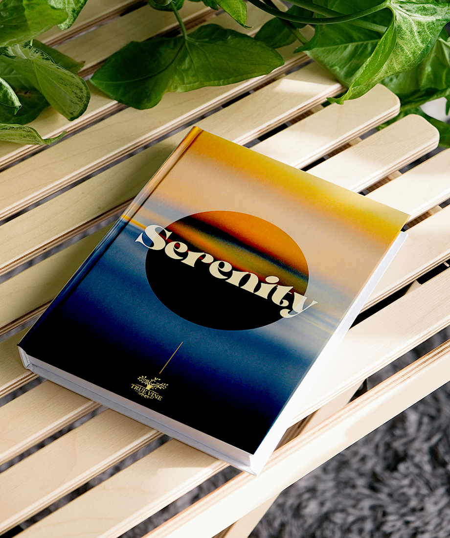 HORIZON PAISIBLE – Image 2