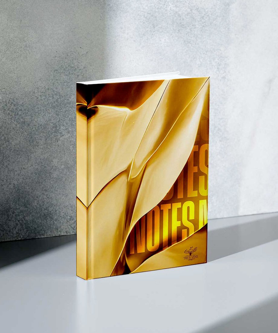 ÉLAN DORÉ – Image 6